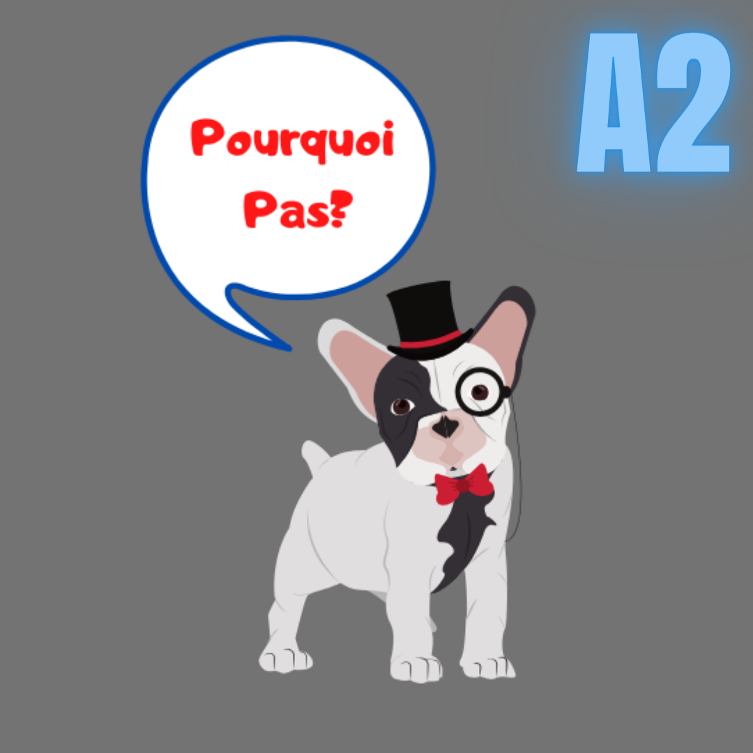 pourquoi-pas-br-sil